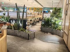 -润园四季椰子鸡火锅(南山海岸城店)