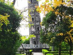 -上海佘山国家森林公园天马山园