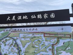 -盐城丹顶鹤湿地生态旅游区