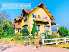 -黄色小屋