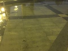 -阿马蛋汤·宁波小海鲜(总店)