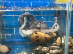 -船奇蒸汽海鲜·闽菜(八市海鲜总店)