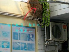 -黄河小浪底水利枢纽风景区