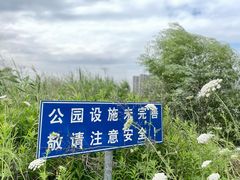-宁波杭州湾国家湿地公园