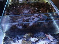 -聚盛源蒸汽海鲜火锅烤肉自助(巨川金海岸购物广场店)