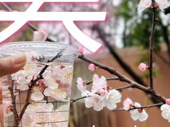 -西安关中民俗艺术博物院
