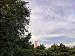 -护国法轮寺