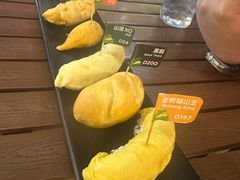 -榴莲BB 四季果园