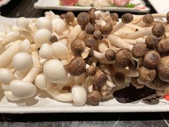 -顺轩海鲜火锅酒家