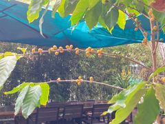 -豆舞咖啡(民乐路店)