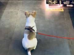 -慢象咖啡(台江店)