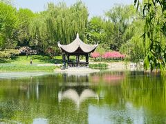 -陶然亭公园