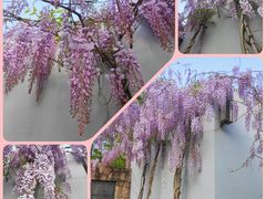 -中国丝绸博物馆