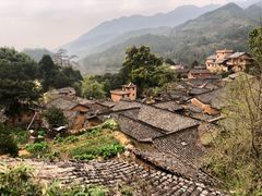 -杨家堂村
