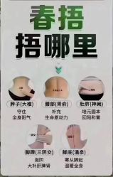 -香薇妮丝·定制减肥·身材管理