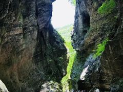 -牛背梁国家森林公园