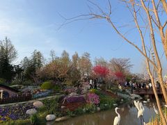 -荷兰花海