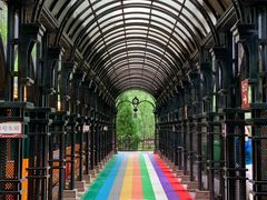 -合肥滨湖国家森林公园