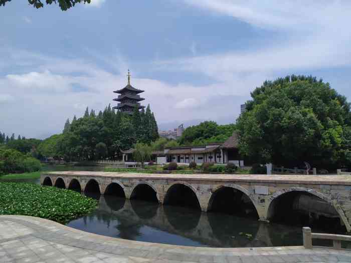 垂虹公园-"垂虹公园面积不大,绿化覆盖率不错,走进游.