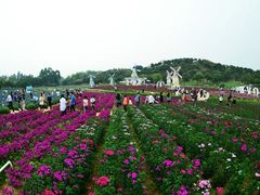 -东莞植物园