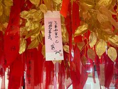 -星辰9号幻影会