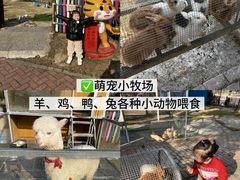 -上海佘山世茂艾美酒店