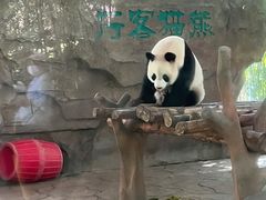 -宁波野生动物园