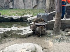 -上海野生动物园