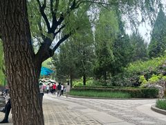 -团结湖公园