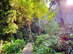 -中国科学院西双版纳热带植物园