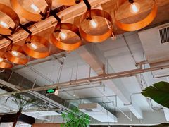 -the rug 飞毯 (朝阳公园店)