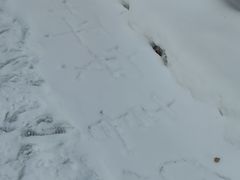 -汤旺河林海奇石景区