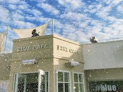 -Blue Concept Cafe&Farm·關於藍