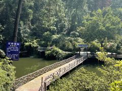 -南山植物园