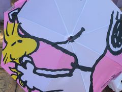-史努比缤纷世界
