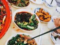 -东吴霸王兔(松青路店)
