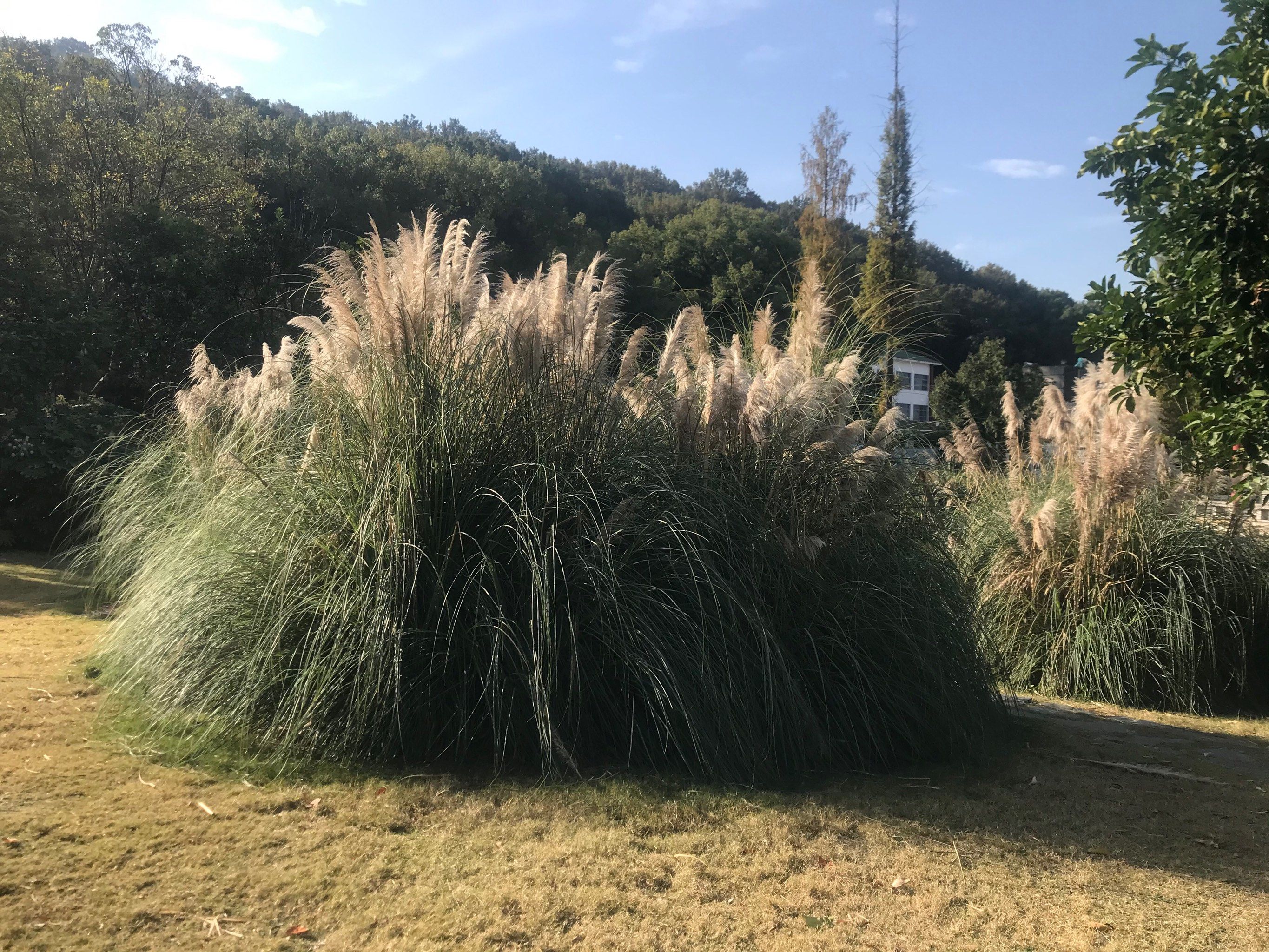 岘山文化广场