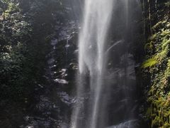 -莫里热带雨林景区