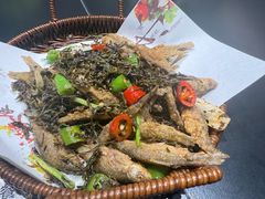 -阿露佳·舌尖上的安吉菜