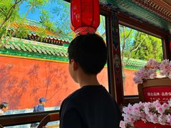 -北京中国大饭店