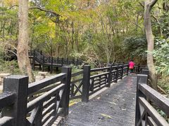 -白马涧龙池景区