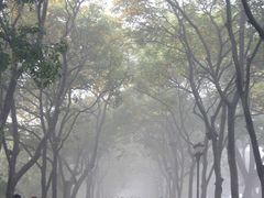-苏堤停车场