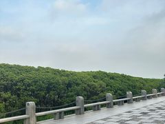-深圳湾公园(南山区)