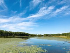 -塞罕坝国家级自然保护区