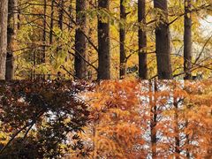 -祥源·阜阳生态乐园