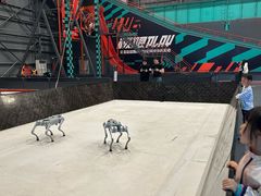 -极限PLAY运动娱乐新世界·团建派对表演休闲馆·室内高空游乐园