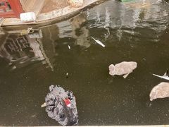 -湖鲜楼
