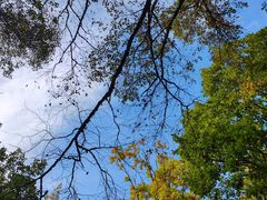 -吉林市朱雀山国家森林公园