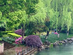 -野蔓果·山野菜(西湖景区·龙井茶田店)