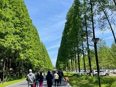 -黄海国家森林公园